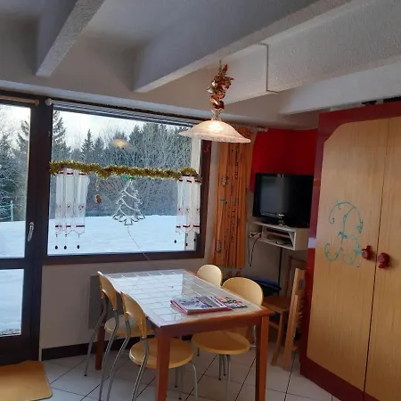 Cosy Avec Terrasse, Proche Des Pistes - - Fr-1-340-223 Apartment *